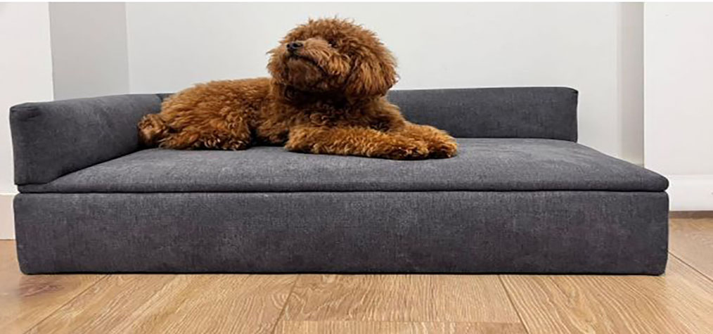 Sofa cama con canape